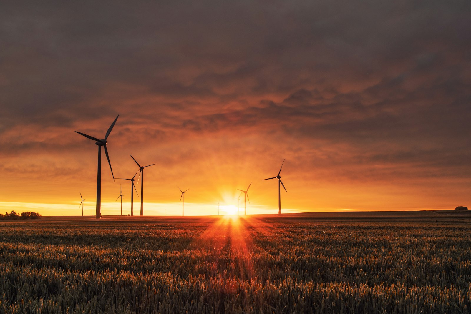 Sustainability Performance