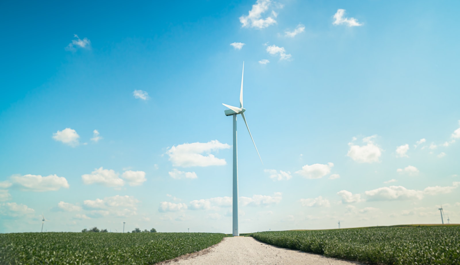 Sustainability-Image-2